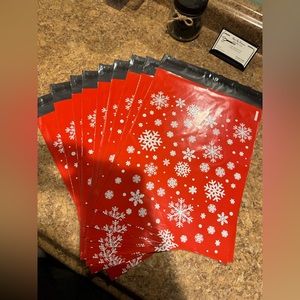 10x13 Poly Mailers Set of 10